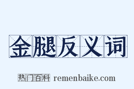 金腿反义词是什么意思的图片